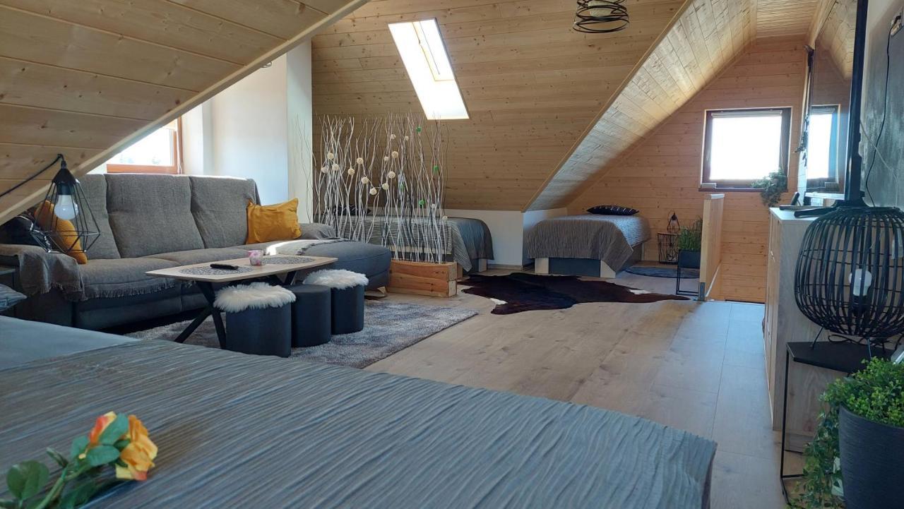 Apartman Pod Smrcinou Vaclavov u Bruntalu Bagian luar foto