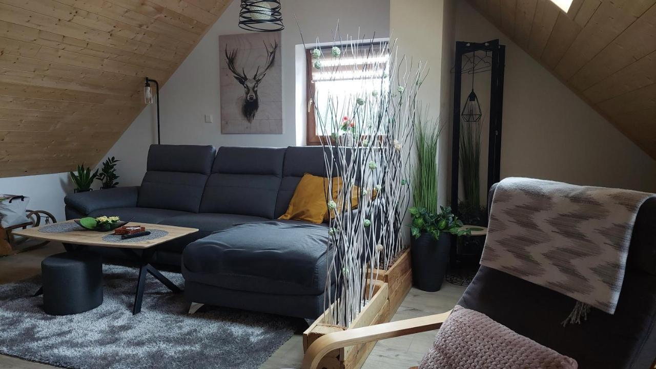 Apartman Pod Smrcinou Vaclavov u Bruntalu Bagian luar foto