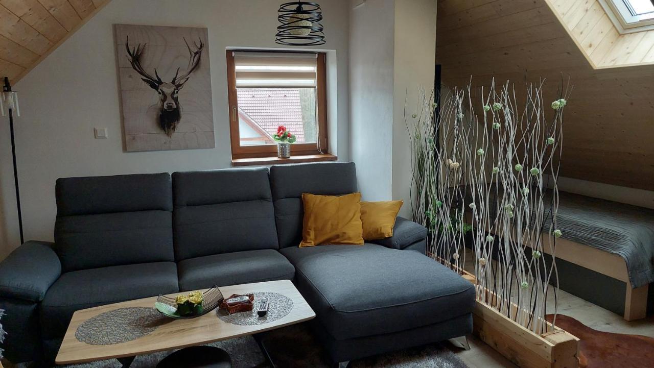 Apartman Pod Smrcinou Vaclavov u Bruntalu Bagian luar foto